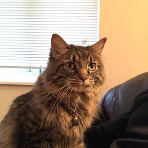 Meet your Posher, Rodney